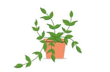Indoor plant in a ceramic pot. Indoor flower. Climbing house plant. Flat vector illustration on white isolated background.