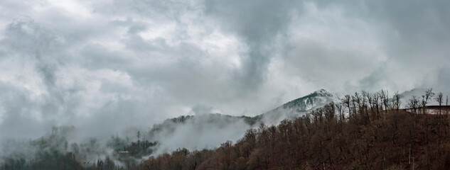 Foggy haze and dramatic sky at the mountainside with perennial trees