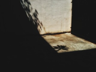 shadow of a person in the wall