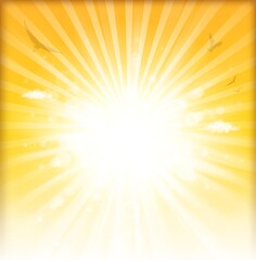 Obraz premium blurred sunlight