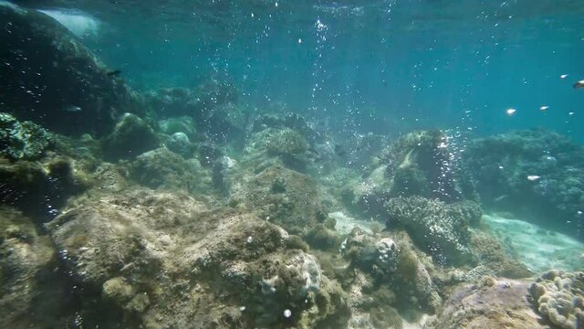 Amazing bubbles rise from the seabed. Coral reef, clear blue water and reflection of ray of light