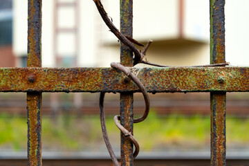 Zaun Gitter Metall Ranke Farbe Vintage alt abgeblättert Rost Korrosion Kreuz Nieten Oberfläche...