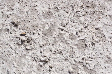 Texture. the concrete wall, a sunny day.