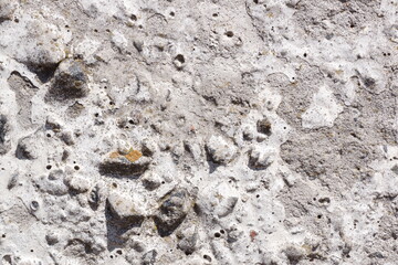Texture. the concrete wall, a sunny day.