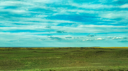 Fototapeta premium field and blue sky