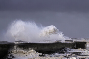 Sea storm in the morning