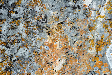 Natural mountain stone in a natural environment, rough surface burnt out in the sun and exposed to natural destruction.