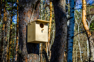 Birdhouse for birds in the forest on a tree.