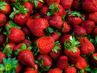 Fresh ripe spring strawberries.
