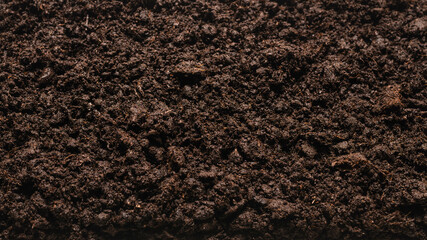Black land for plant background.