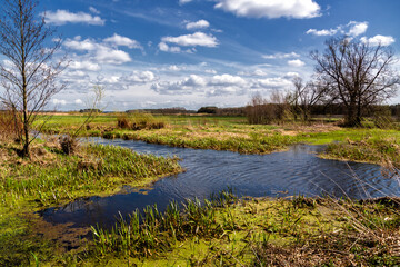 Wiosna w Dolinie Górnej Narwi, Podlasie, Polska