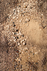 Background, texture, design. Small pebbles on the road in a puddle of water.