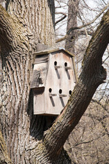 On a large old tree there is a birdhouse for several families of forest birds.