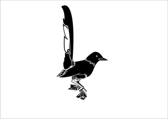 illustration of a bird
