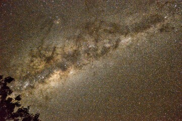 Milky Way over tree tops © byron_sa