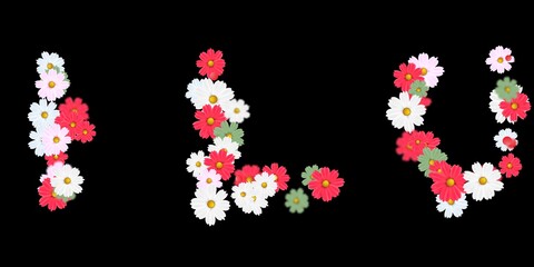 Sun Flower Stock Image Black Background