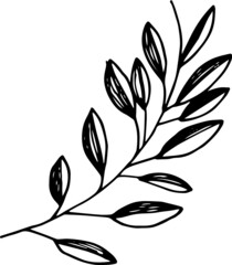 Single hand drawn tropical leaf of palm. In doodle style, black outline isolated on a white background. Design cute element for card, poster, social media banner, sticker. Vector illustration.