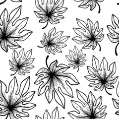 Seamless pattern hand drawn tropical plants, leaf, leaves. In doodle style, black outline isolated on a white background. Design element for card, poster, social media banner, digital paper. Vector.