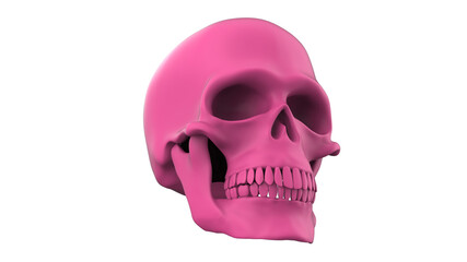 Skull of the human isolated on a white background. 3d render white skull