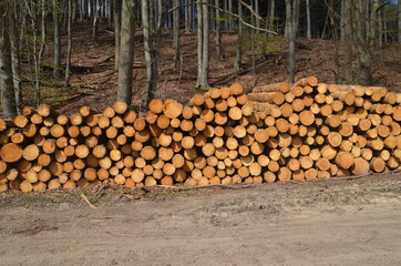 Holzstapel