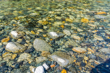 Clear Water Macro 4