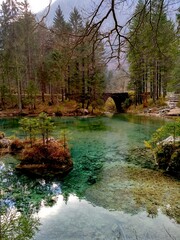 Glorious woodland scenery with stone bridge and small pines.