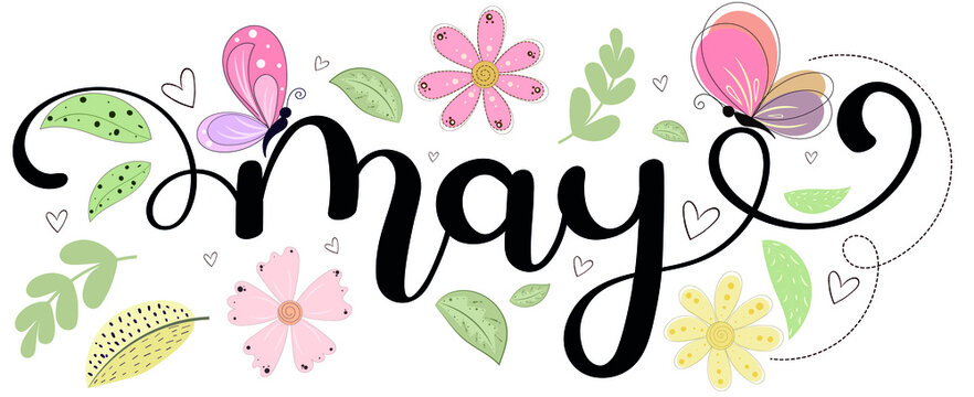 Hello May. MAY Month Vector With Flowers, Butterfly And Leaves. Decoration Floral. Illustration Month May