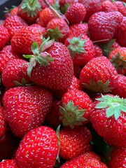 lots of fresh red strawberries, strawberries with small seeds, fresh red fruit