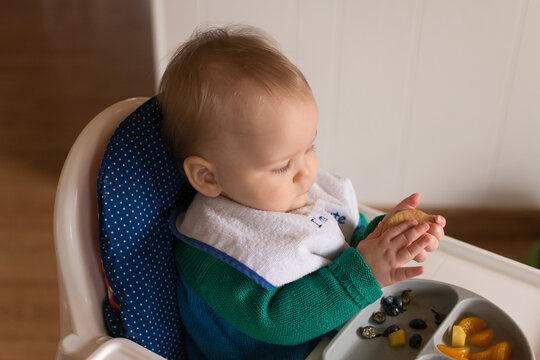 Toddler Eating Finger Foods While Seated In High Chair; Baby Led Weaning