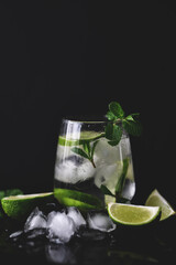 Close up view of homemade refreshing tonic gin with lime and fresh mint summer cocktail recipe