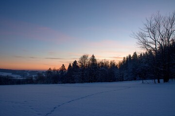 Beautiful sunset over a winter snowy pasture. In the background is a forest.