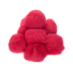 Close up of hot pink rabbit fur pompoms isolated on white background. 