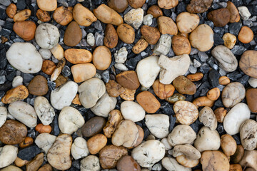 Multi colored gravel (white,yellow and gray) for background.