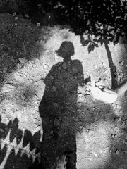 Black and white Silhouette of a person in the park with her cat beside it- a conceptual portrait photograph 