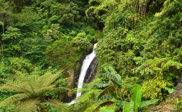 Gitgit Campuhan waterfall in singaraja regency of bali
