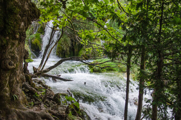 Fototapeta na wymiar Nationalpark Plitvicer Seen,
