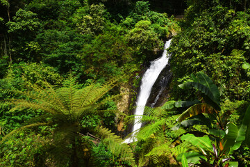 Gitgit Campuhan waterfall in singaraja regency of bali