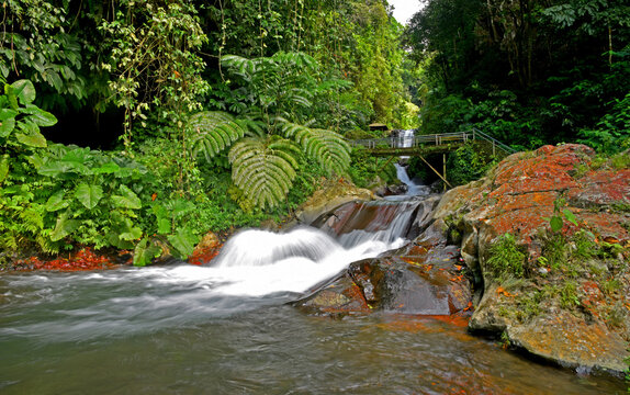 Small waterfall of Gitgit in singaraja regency of Bali