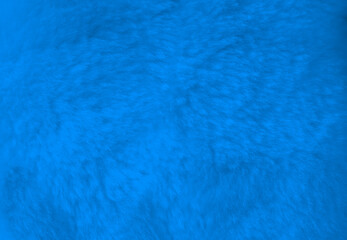 Blue fur background close up view.