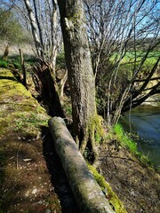 Obraz premium Paysage de Thiérache