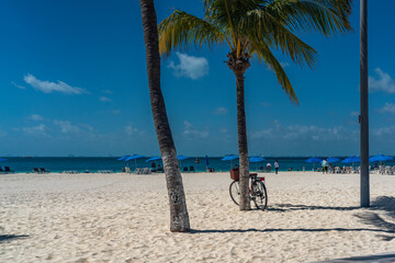 Bcycle leaning on palm tree at a white sandy beach on Isla Mujeres. Cancun