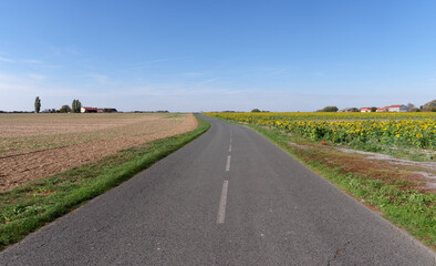Fototapeta premium Country road in Ile-De-France region. La Haute-Maison village