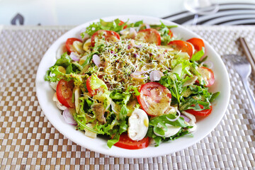 Vegan salad dish: green leaf vegetables mixed sliced tomato, mushrooms and sprouts