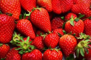 Strawberry ripe and juicy berries concept healthy eating. food background top view copy space for text. Strawberry. Fresh berries macro. Fruit background. Top view. 