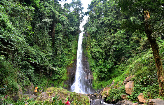 Gitgit waterfall in Singaraja regency of Bali