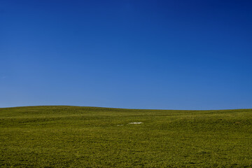 Last Trace of Snow on Meadow Before Spring