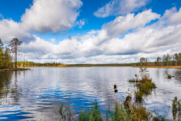 Lake in the taiga. North of Russia 