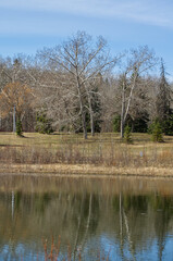 A Pond at Gold Bar Park, Edmonton, AB