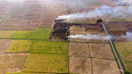 Pinrang, Sulawesi Selatan indonesia.
The view of the rice fields that are almost finished being harvested.
April 19 2021