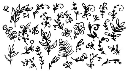 vector set of isolated elements of twigs with leaves and berries, drawn by hand in the style of doodles. plant texture twigs with leaves dots curls black outline on white background for design templat